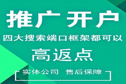 关键词竞价排名实战案例分析及优化